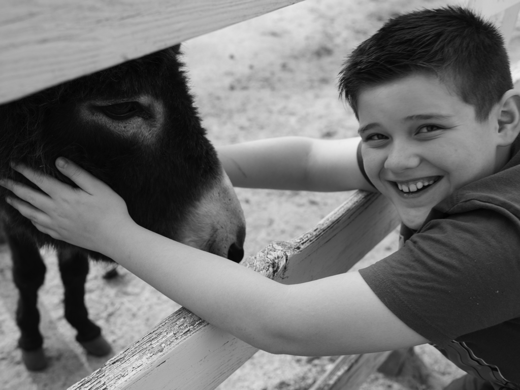 Black and white photo of male child petting a donkey